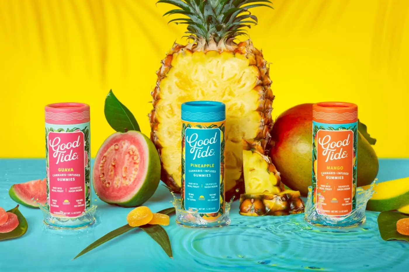 65af6c7c fa5f 4d72 a77c 62c913361aa4.webp